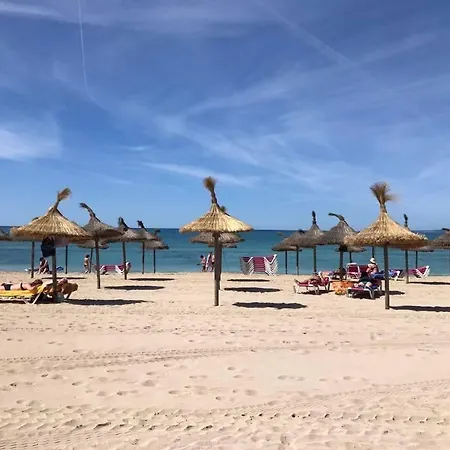 أوليندر 3*