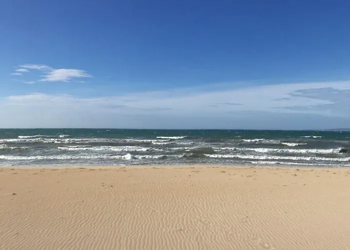 Oleander 플라야 데 팔마