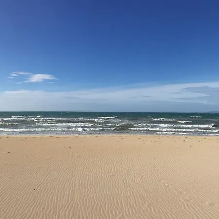 Oleander بلايا ذي بالما