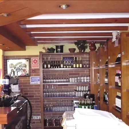 Oleander