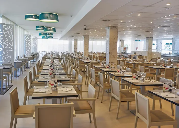 Oleander Playa de Palma (Mallorca)